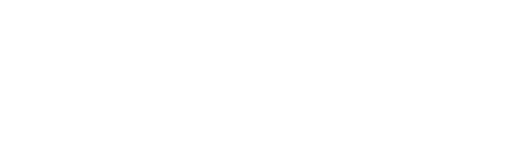 which one are you あなたはどちらですか?